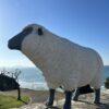 Mouton poly résine