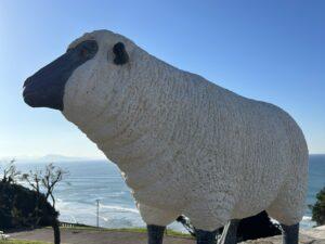Mouton poly résine