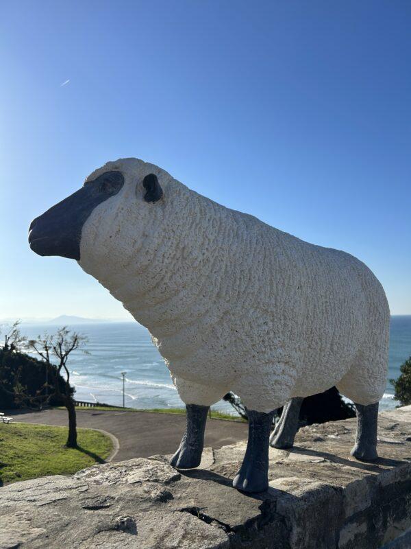 Mouton poly résine