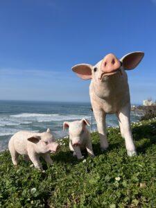 Cochon rose debout - Petit Modèle