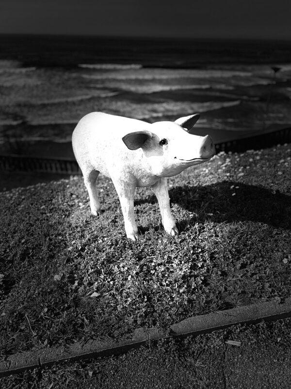Cochon rose debout - Petit Modèle – Image 2