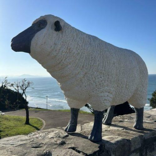 Mouton poly résine